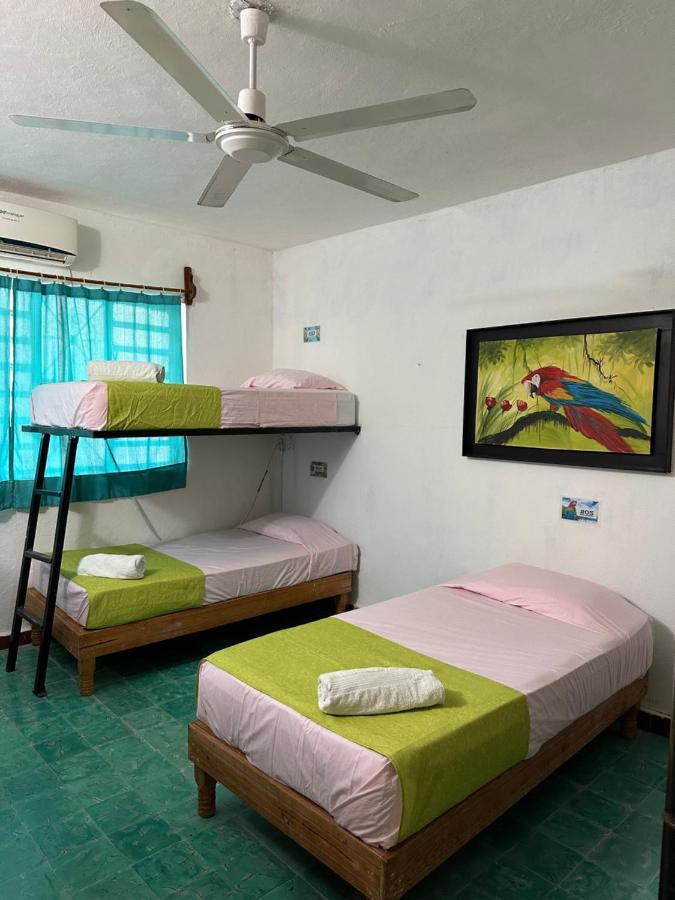 Hostel 35 바야돌리드 외부 사진